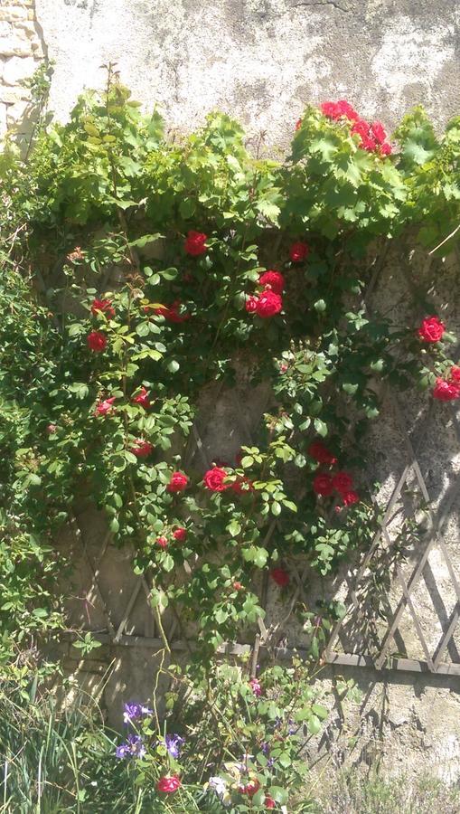 Bed and Breakfast Vingt Grand Rue Champagne-Mouton Exterior foto